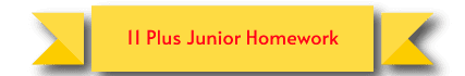 AKT-11-plus-junior-homework-ribbon-image