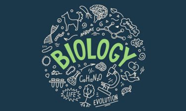 biology Science Tuition Barnet, science tutor, science tutor near me, science tuition, online science tutor,science tuition centre, tuition for science, primary science tuition, science tuition for secondary school, tuition science, tutor science, secondary science tuition, science tutor online, online science tuition, science private tuition, science tuition for primary students, tutor for science, looking for science tutor, science online tutor, science tuition online, private science tutor, how to tutor science,science tutor online free trial, science tutor online free, physics tutor, online physics tutor, physics tuition, online physics tuition, online chemistry tutor, chemistry tuition, online biology tutor, biology tuition