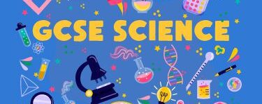 gcse-science-tuition Online Tuition in Barnet