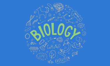 Science Tuition in Ilford, Science tutoring Ilford, Science tutors, tuition online Science Ilford