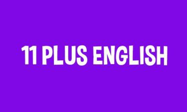 Online English Tuition, Online English Tutoring, Online English Tutor, online English tutors, English tuition