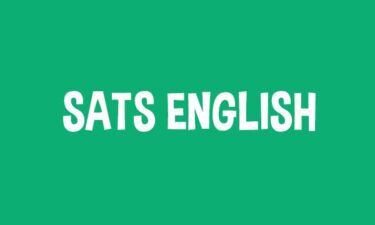 Online Tutors
