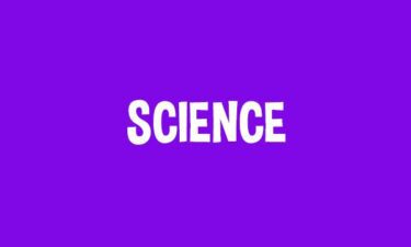 Online Tutors