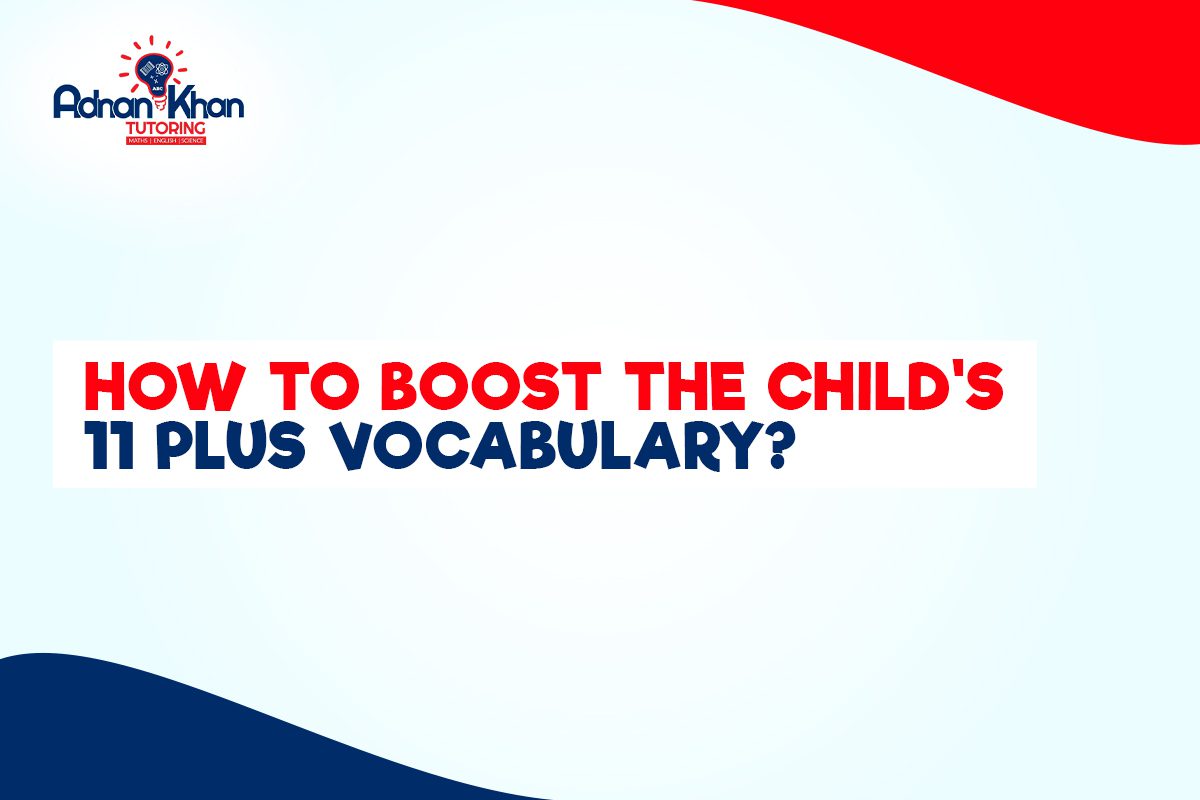 11 Plus Vocabulary