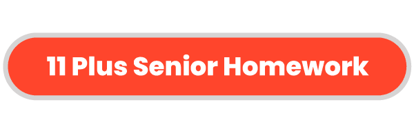 11-Plus-Senior-Homework