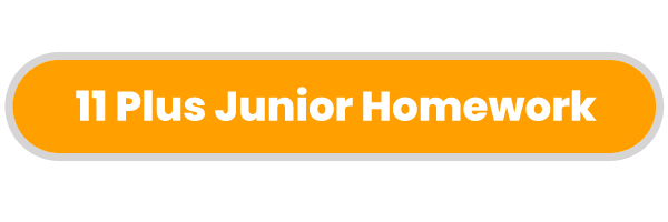 11-Plus-Junior-Homework