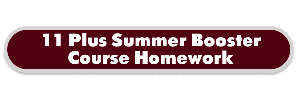11-plus-summer-booster-course-homework