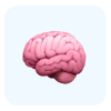 11 Plus Verbal Reasoning
